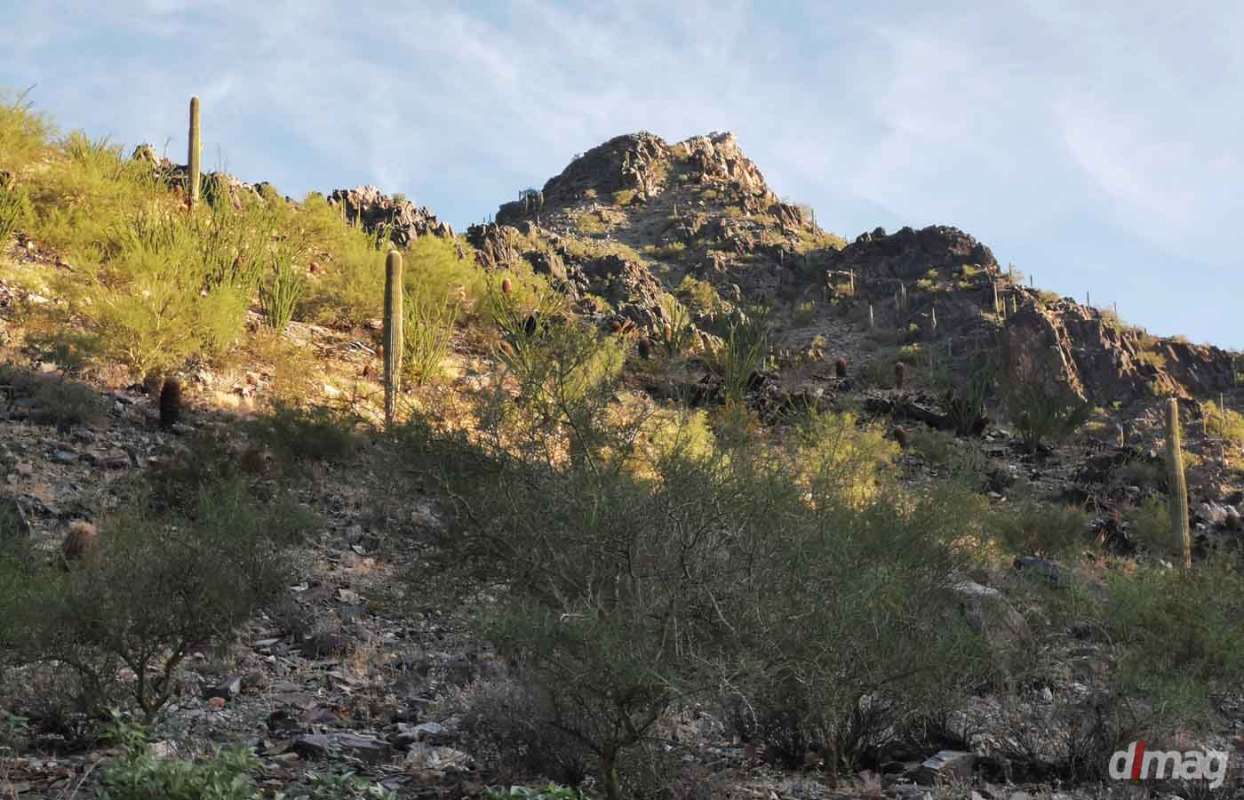 Four Best Day Hikes Near Phoenix Arizona Daily Luxury