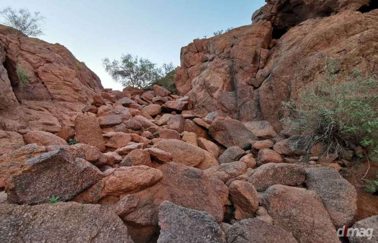 Four Best Day Hikes Near Phoenix, Arizona - Daily Luxury