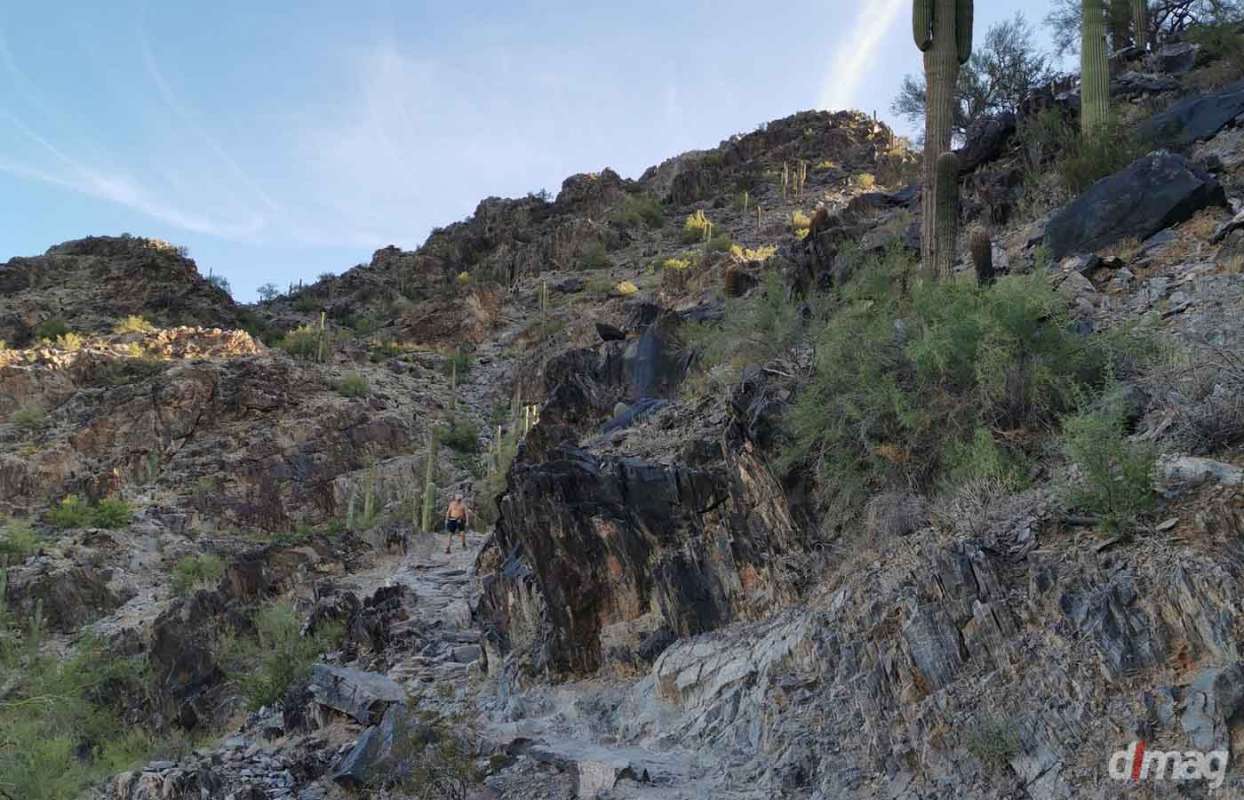 Four Best Day Hikes Near Phoenix, Arizona - Daily Luxury