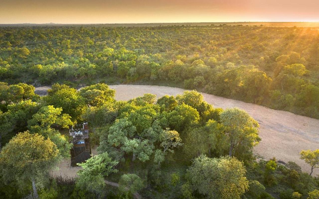 andBeyond Ngala Treehouse Design