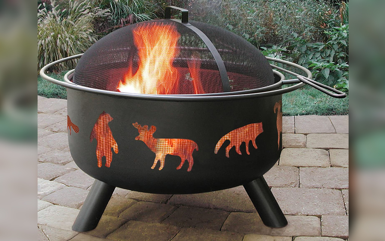 Coleman outdoor fire pit